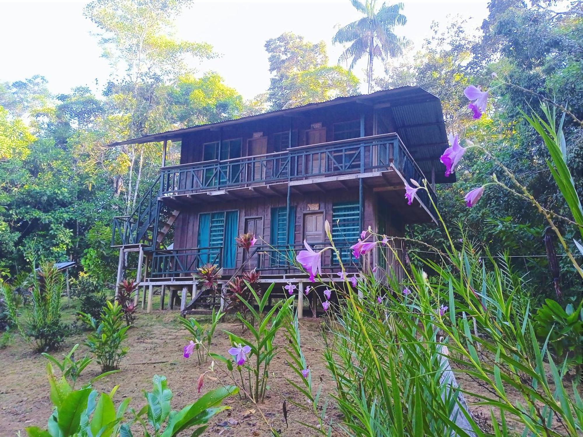 Cabanas Eco Logicas Mu'Ue Loreto Mocagua Eksteriør bilde