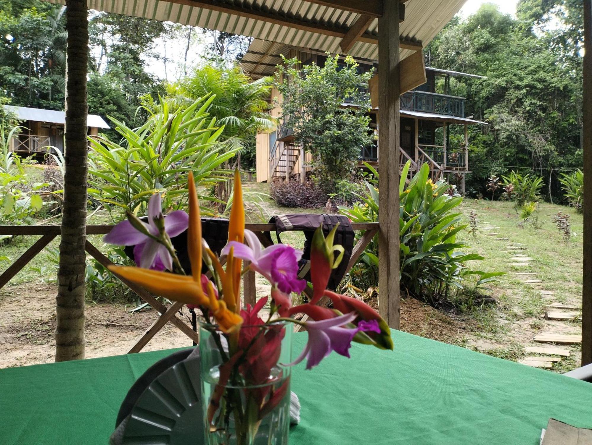 Cabanas Eco Logicas Mu'Ue Loreto Mocagua Eksteriør bilde