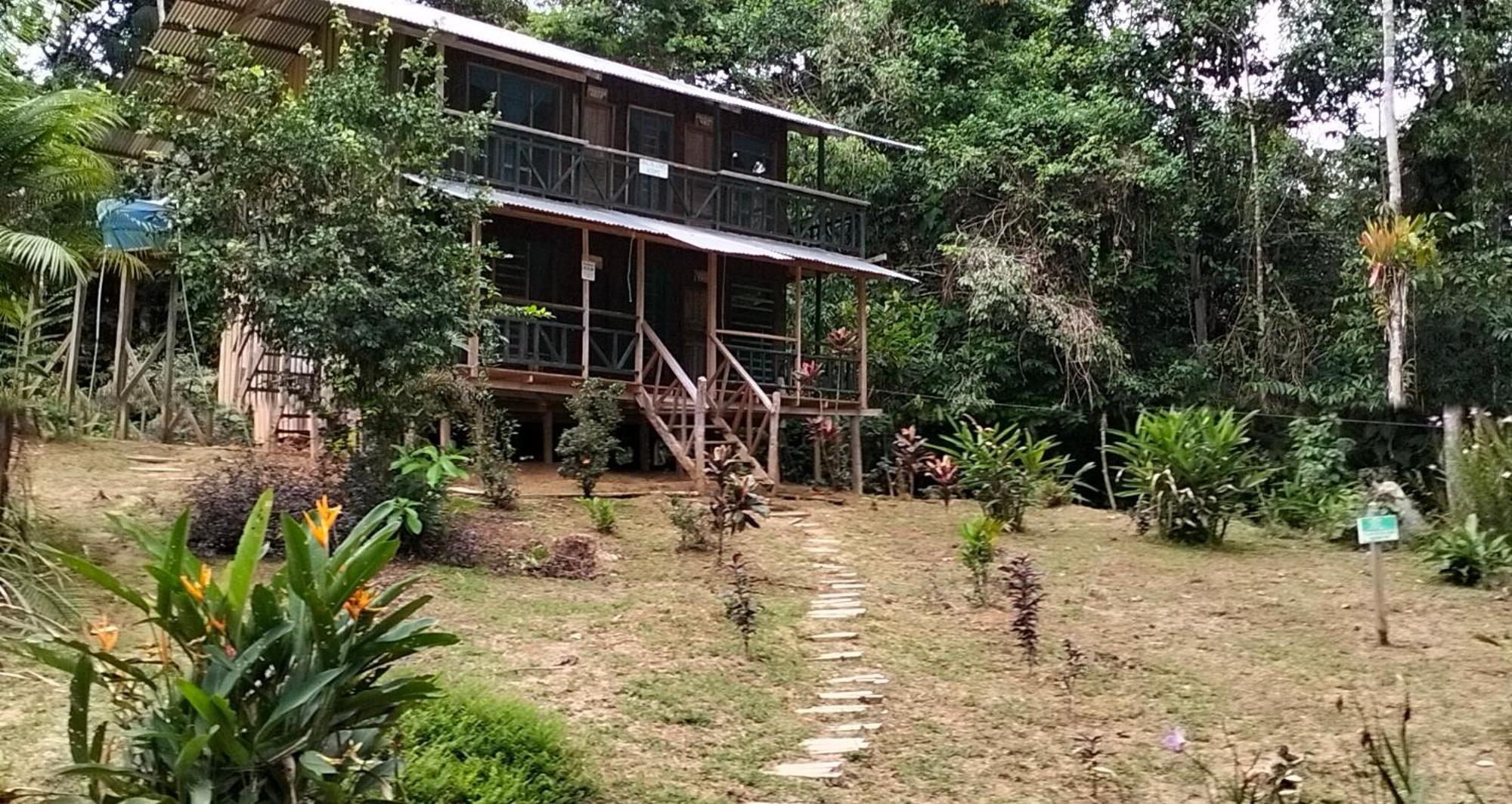 Cabanas Eco Logicas Mu'Ue Loreto Mocagua Eksteriør bilde