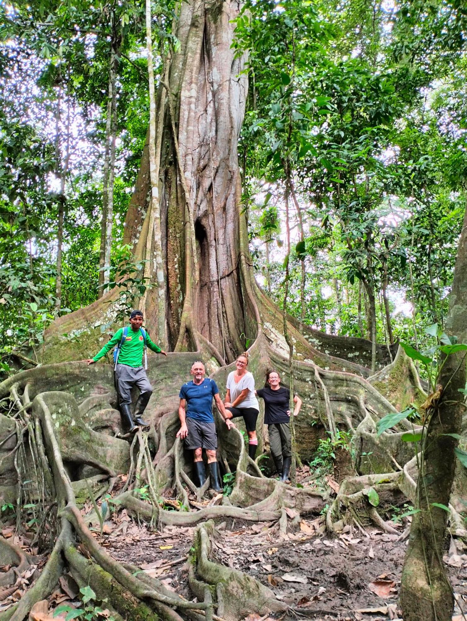 Cabanas Eco Logicas Mu'Ue Loreto Mocagua Eksteriør bilde