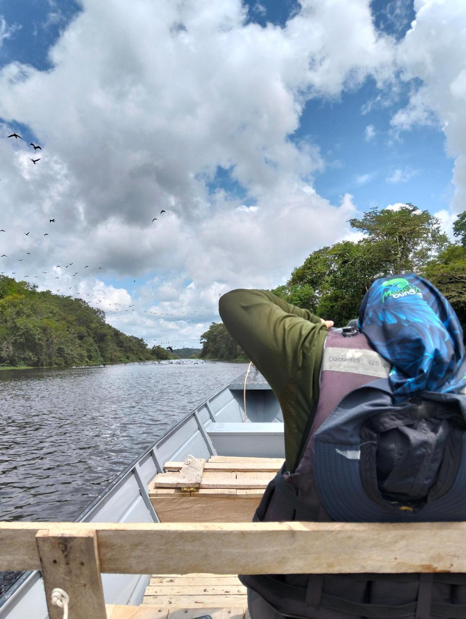 Cabanas Eco Logicas Mu'Ue Loreto Mocagua Eksteriør bilde